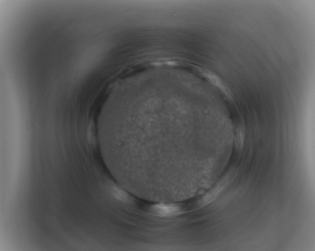 X0000111660477200907241155