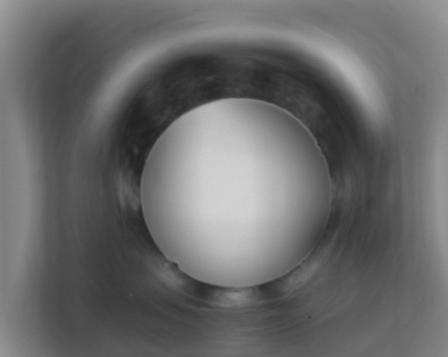 X0000111660479200907241155
