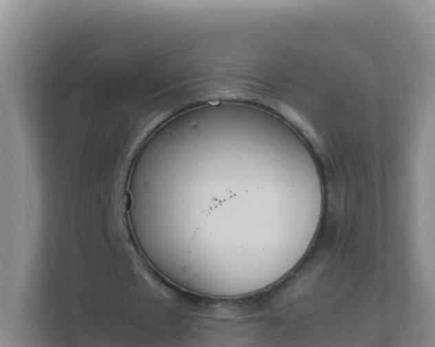 X0000111660481200907241154