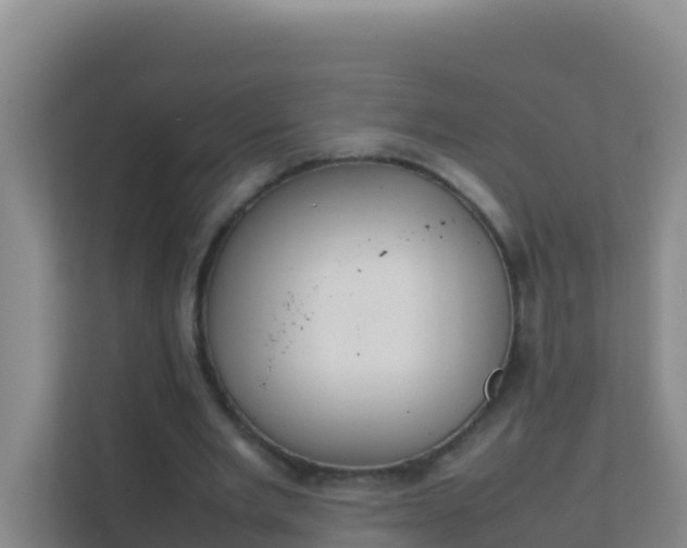 X0000111660485200907241154