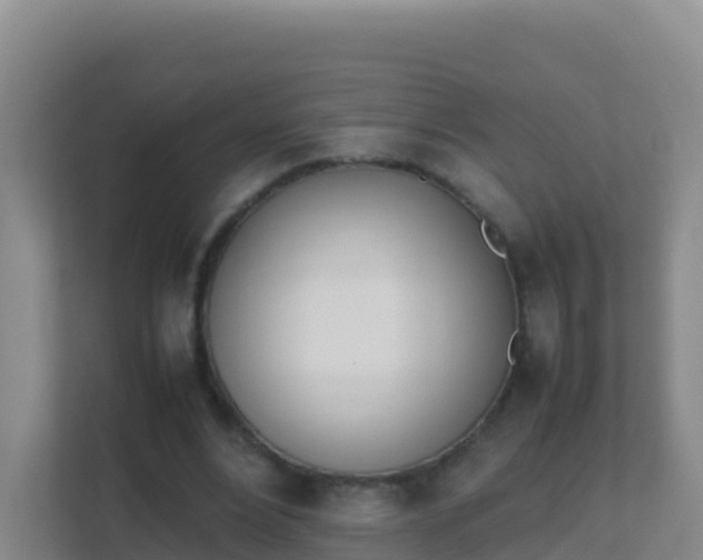 X0000111660488200907241154