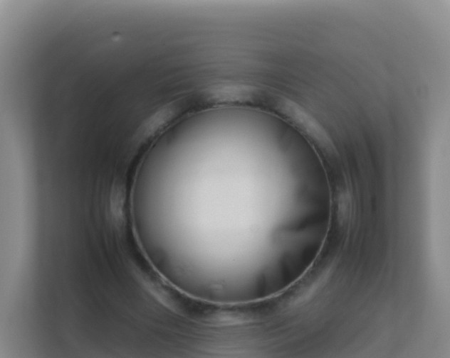 X0000111660490200907241154