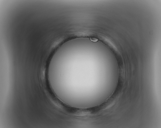 X0000111660491200907241154