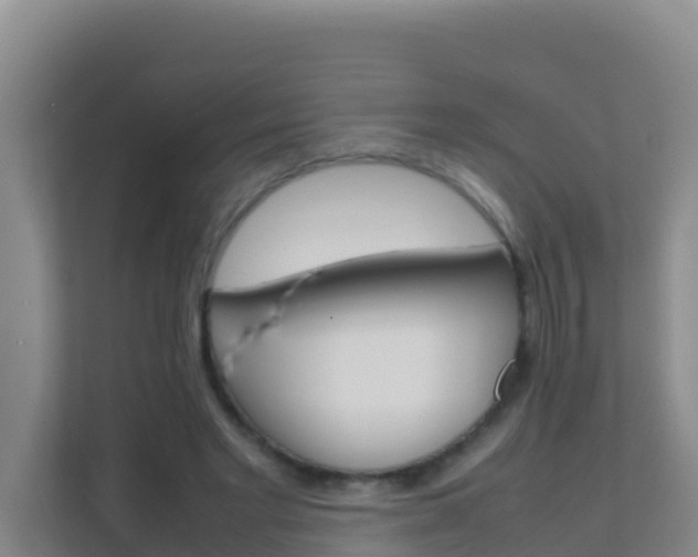 X0000111660493200907241154