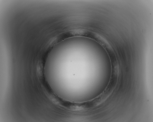 X0000111660498200907241154
