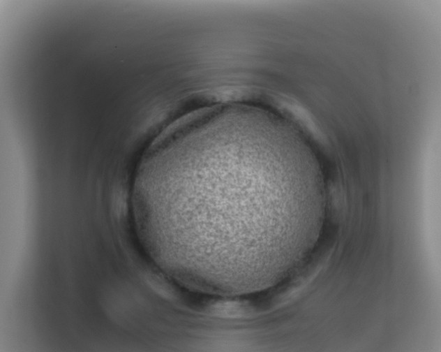 X0000111660499200907241154