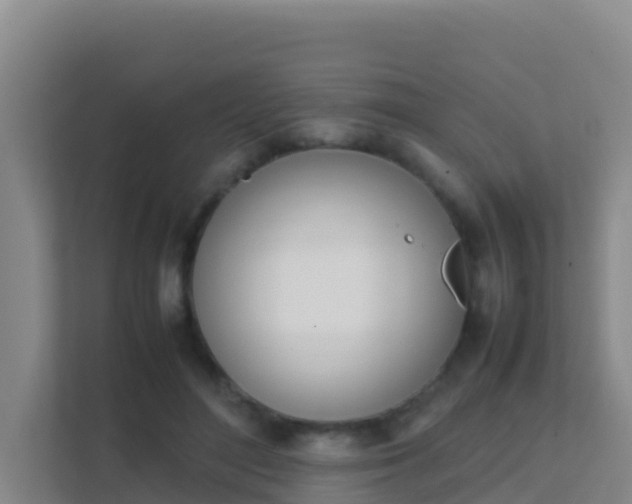 X0000111660500200907241154