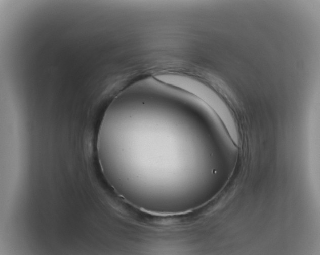 X0000111660501200907241154