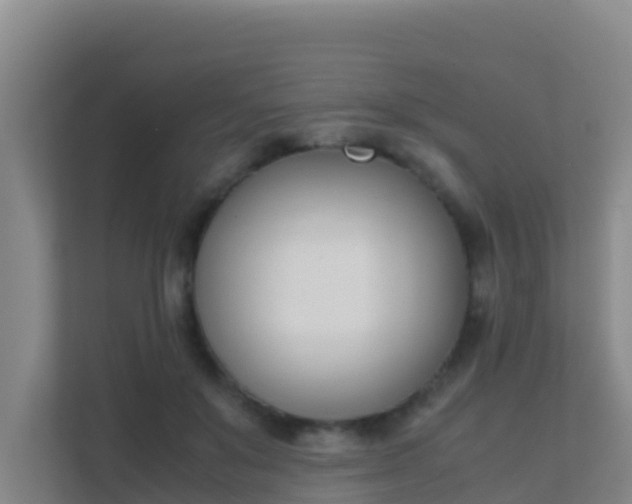 X0000111660503200907241154