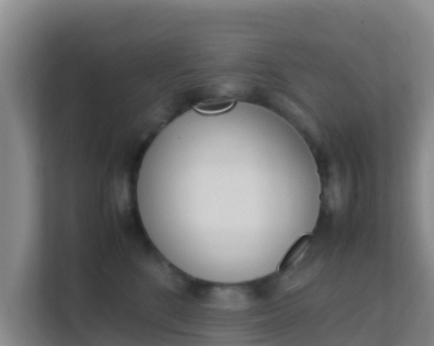 X0000111660520200907241154