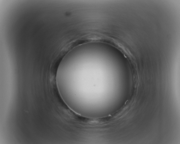 X0000111660521200907241154