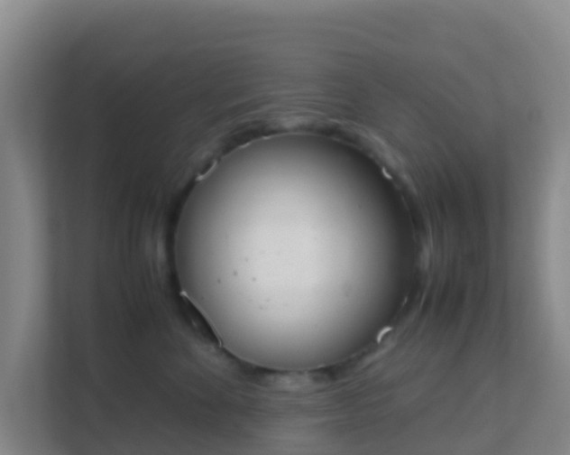 X0000111660524200907241154