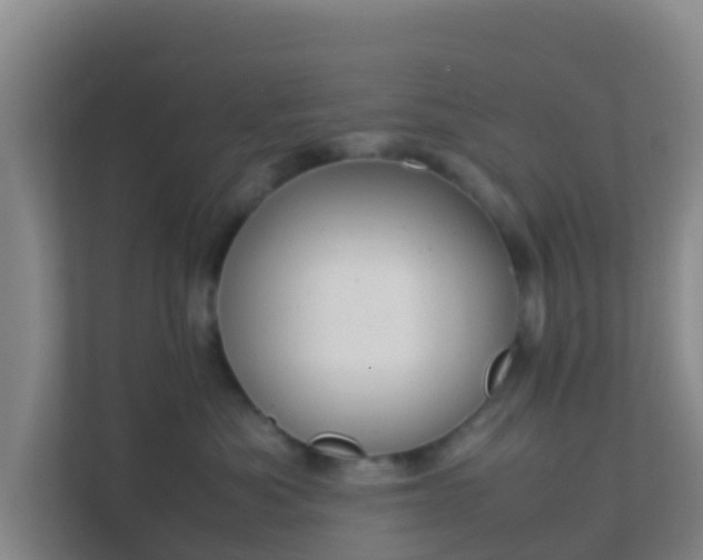 X0000111660525200907241154