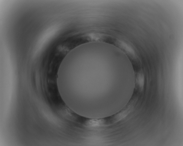 X0000111660526200907241154