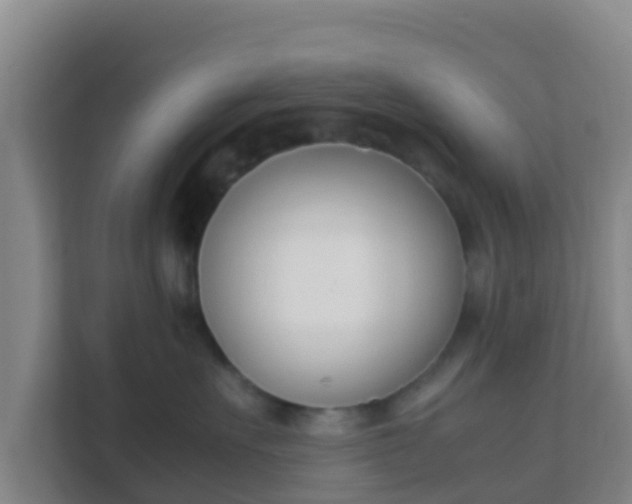 X0000111660527200907241154