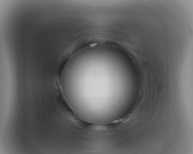 X0000111660528200907241154