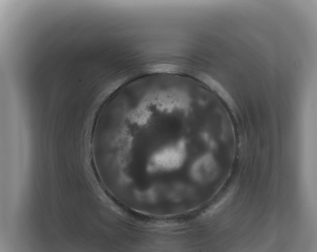 X0000111660529200907241153