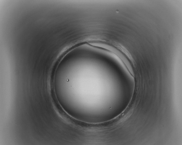 X0000111660530200907241153