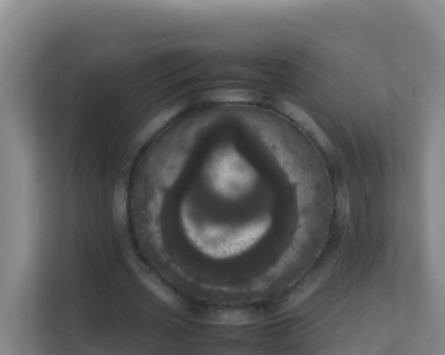 X0000111660533200907241153