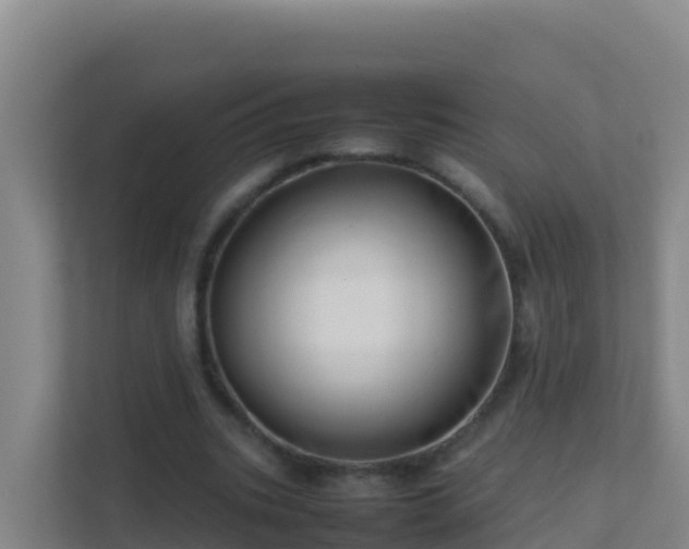 X0000111660535200907241153