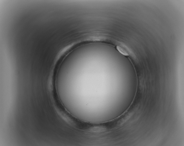 X0000111660536200907241153