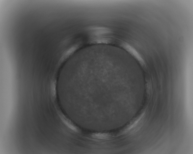 X0000111660537200907241153