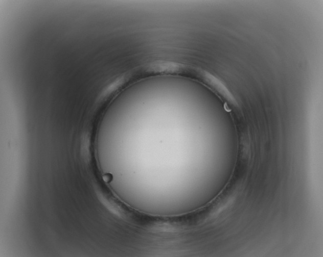 X0000111660538200907241153
