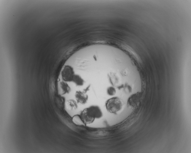 X0000111660541200907241153