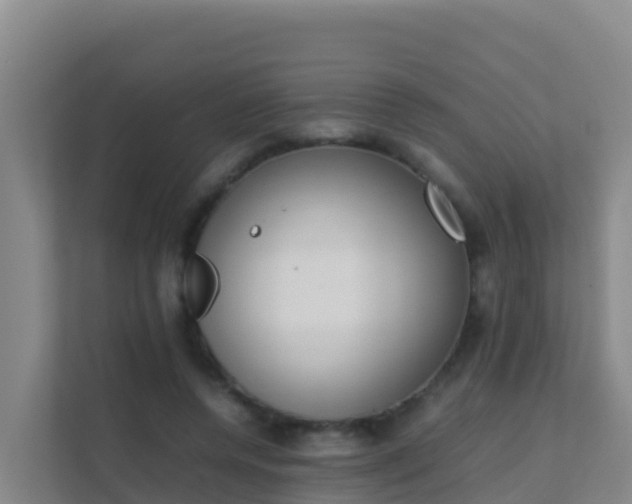 X0000111660544200907241153