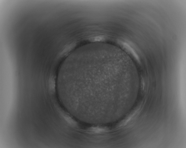X0000111660545200907241153