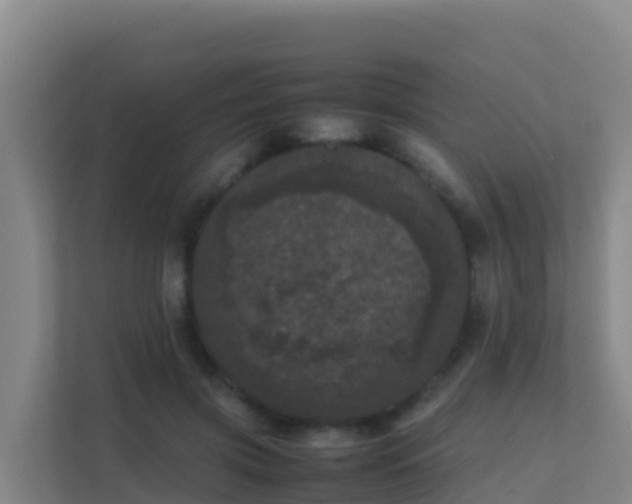 X0000111660549200907241153