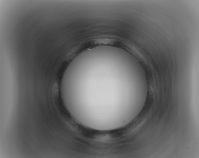 X0000111660551200907241153