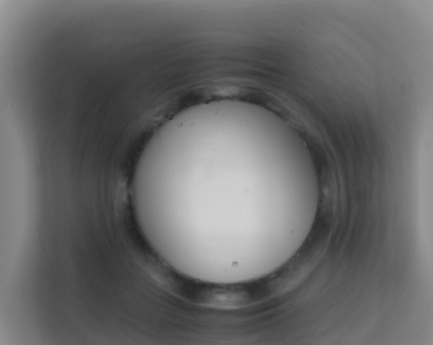 X0000111660555200907241154