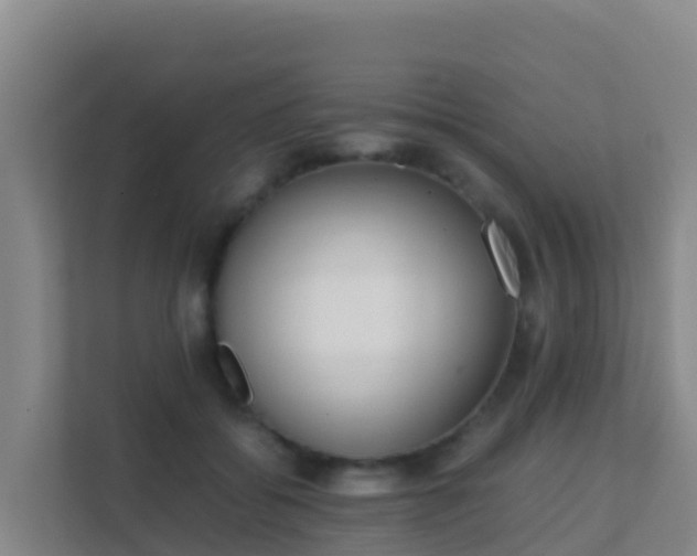 X0000111660556200907241154