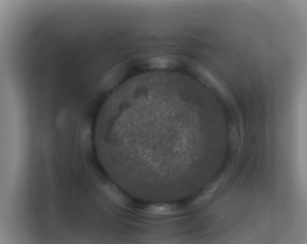 X0000111660557200907241154