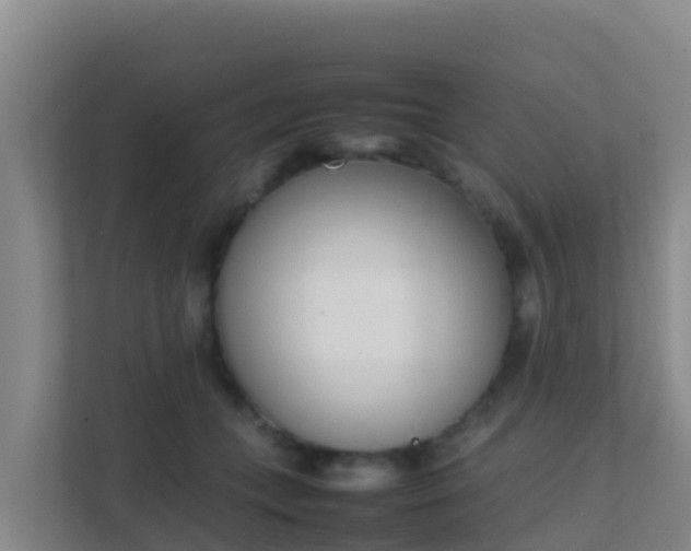 X0000111660559200907241154
