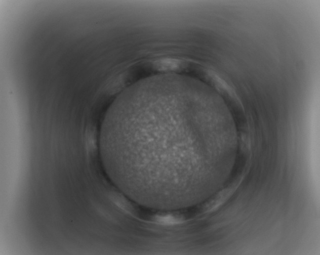 X0000111660561200907241154