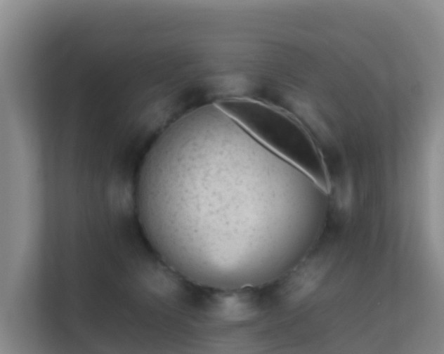 X0000111660564200907241154