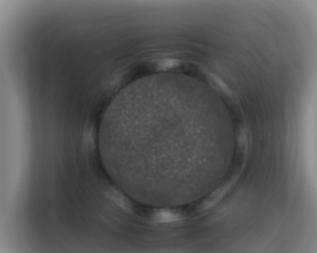 X0000111660565200907241154
