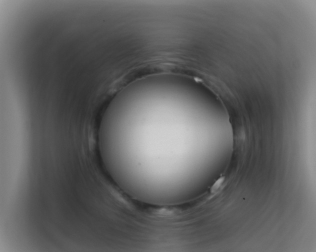 X0000111660566200907241154