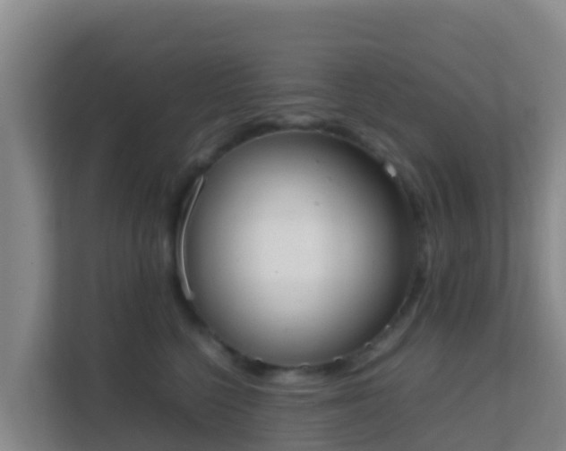 X0000111660568200907241154