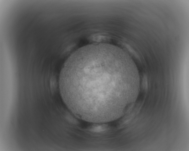 X0000111660569200907241154