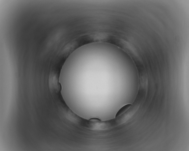 X0000111660575200907241154