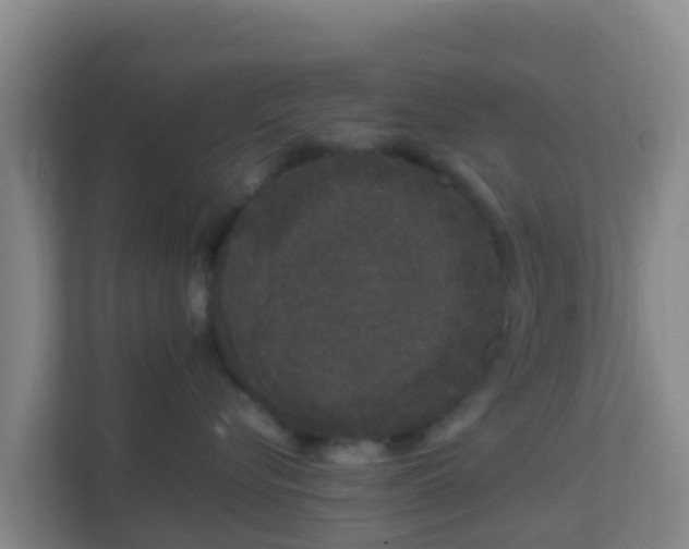 X0000111660576200907241154