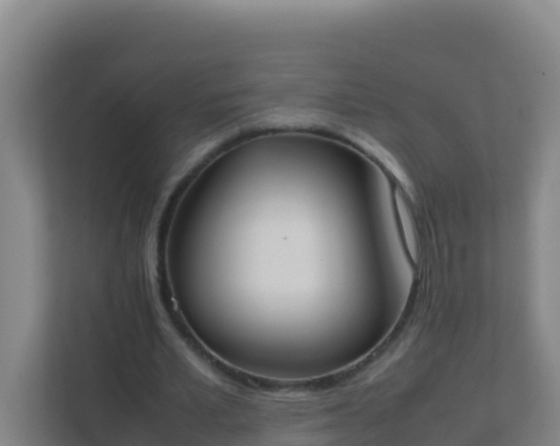 X0000111660581200907241153