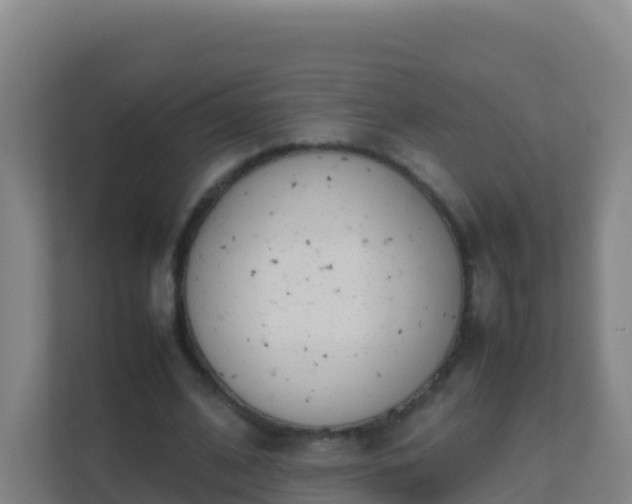 X0000111660584200907241153