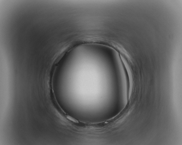 X0000111660585200907241153