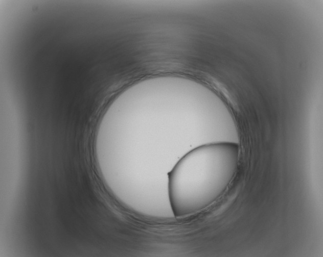 X0000111660589200907241153