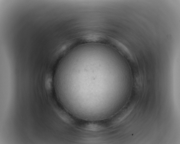 X0000111660596200907241153