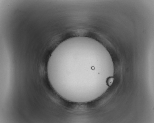 X0000111660599200907241153
